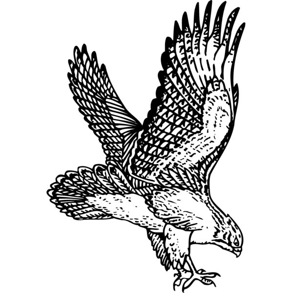 EAGLE026 Thumbnail