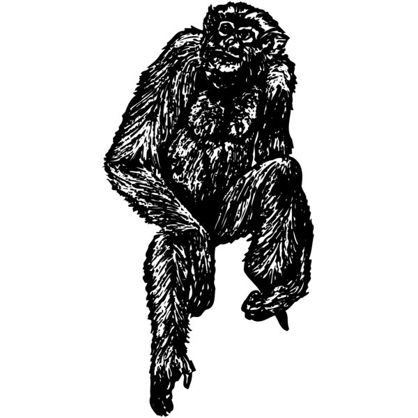 MONK004 Thumbnail