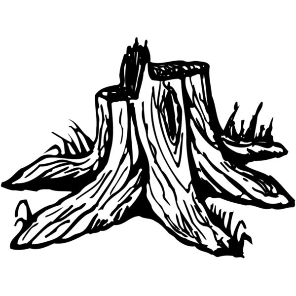 TIMBER09 Thumbnail