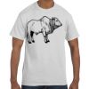 Authentic T-Shirt Thumbnail