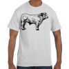 Authentic T-Shirt Thumbnail
