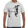 Authentic T-Shirt Thumbnail
