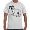 Authentic T-Shirt Thumbnail