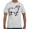 Authentic T-Shirt Thumbnail