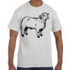 Authentic T-Shirt Thumbnail