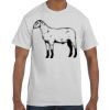 Authentic T-Shirt Thumbnail