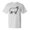 Essential-T T-Shirt Thumbnail