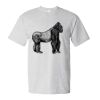 Essential-T T-Shirt Thumbnail