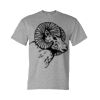 DryBlend® T-Shirt Thumbnail