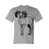 DryBlend® T-Shirt Thumbnail
