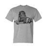DryBlend® T-Shirt Thumbnail