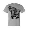 DryBlend® T-Shirt Thumbnail