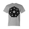 DryBlend® T-Shirt Thumbnail