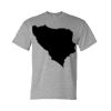 DryBlend® T-Shirt Thumbnail
