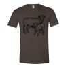 Softstyle® T-Shirt Thumbnail