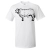 Ultra Cotton® T-Shirt Thumbnail