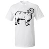 Ultra Cotton® T-Shirt Thumbnail