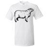Ultra Cotton® T-Shirt Thumbnail